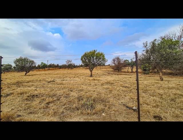 FARM FOR SALE IN RIETVALLEI AH